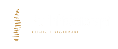 Pulih Fisioterapi